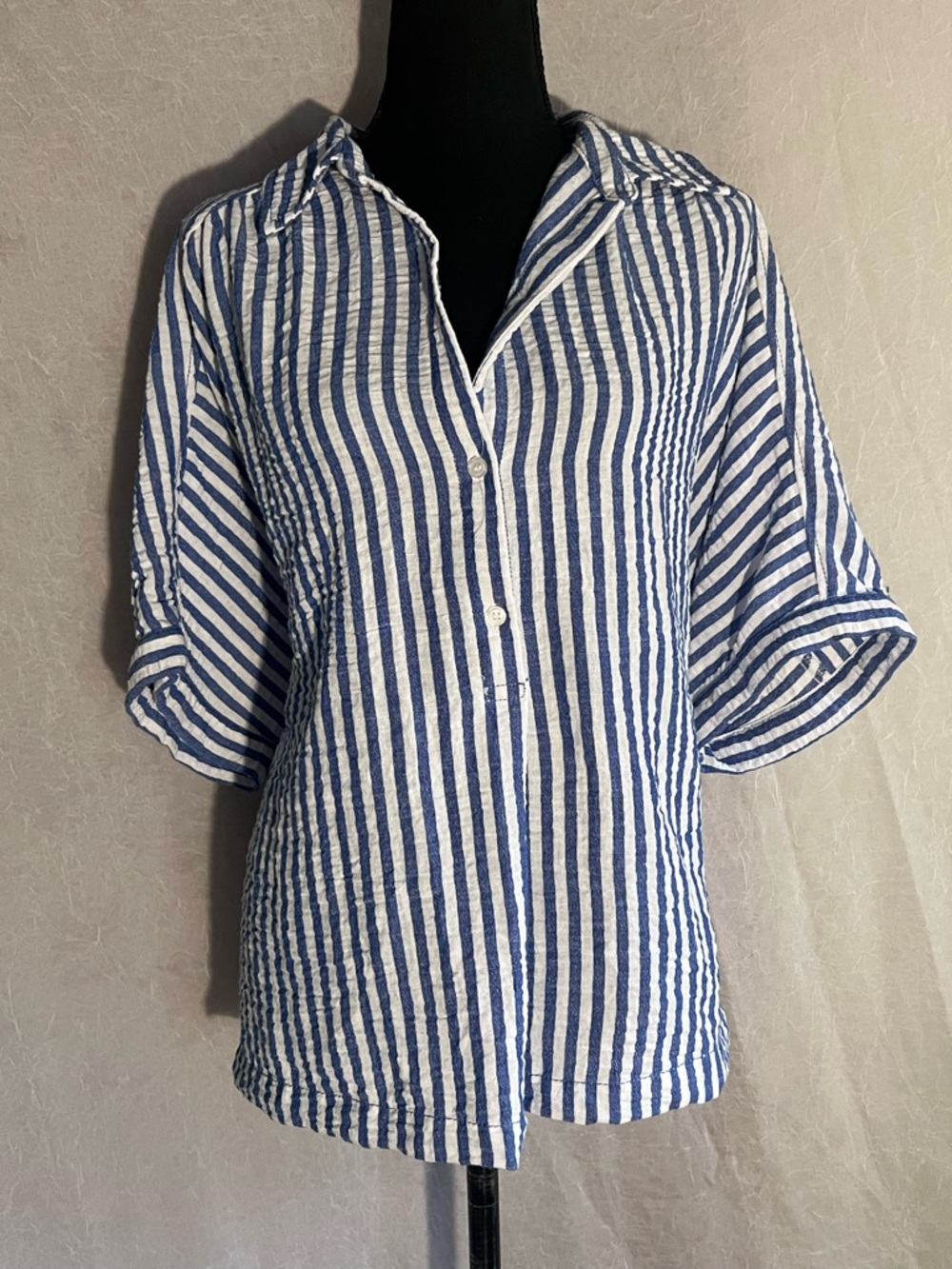 Max Studio Blue and White Striped Button-Down Shirt